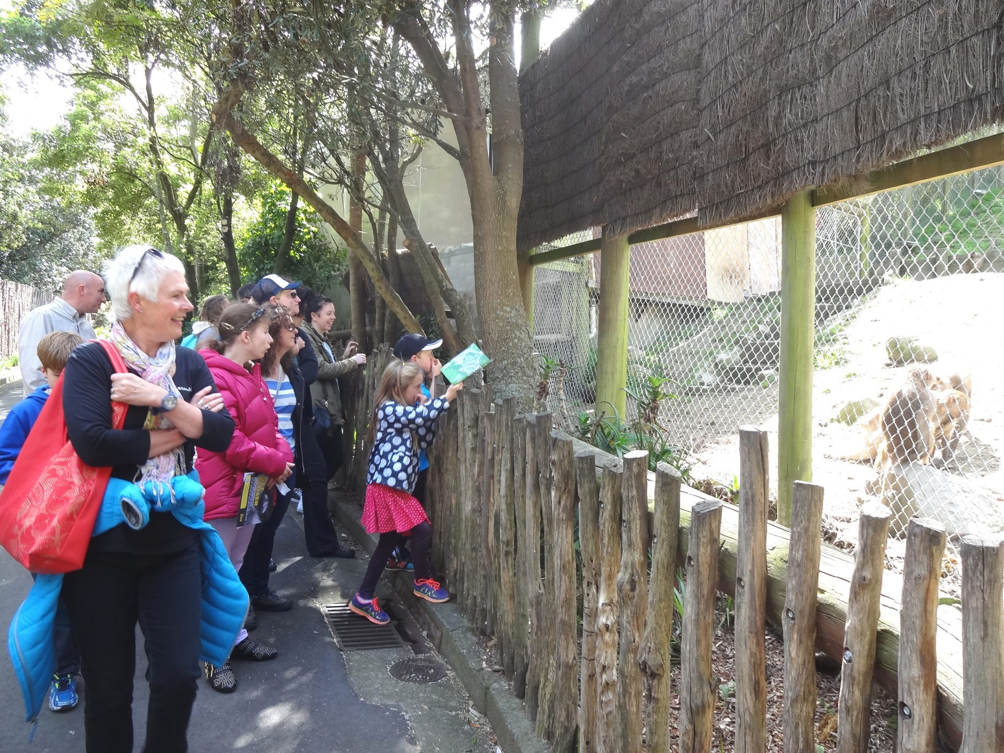 Wellington Zoo 2014
