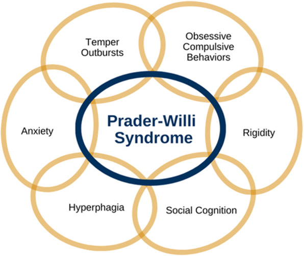 Key Interrelated Behavioural Features Of PWS